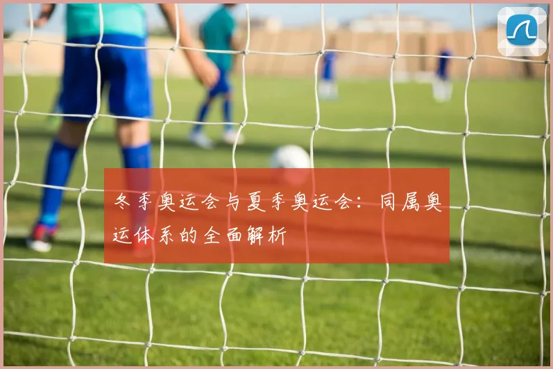 冬季奥运会与夏季奥运会:同属奥运体系的全面解析