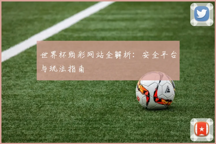 世界杯购彩网站全解析：安全平台与玩法指南