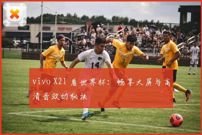 vivo X21 看世界杯：畅享大屏与高清音效的秘诀
