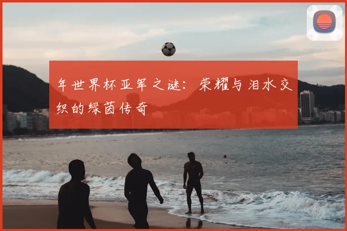 年世界杯亚军之谜：荣耀与泪水交织的绿茵传奇