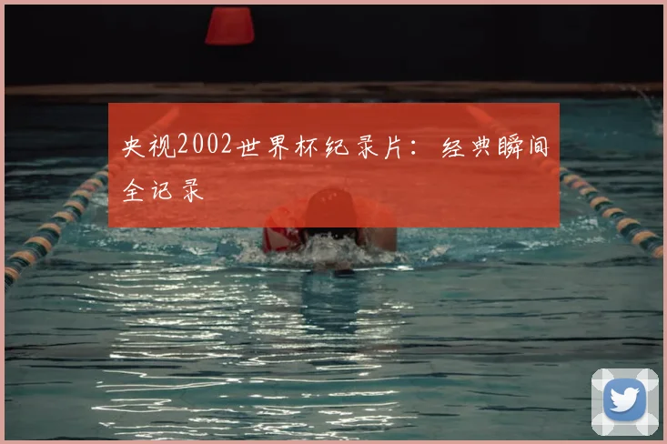 央视2002世界杯纪录片:经典瞬间全记录