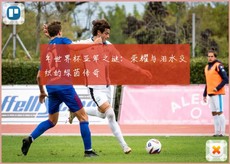 年世界杯亚军之谜：荣耀与泪水交织的绿茵传奇