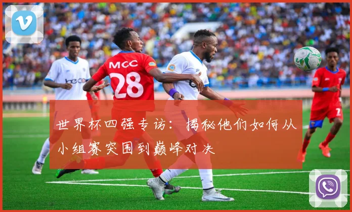 世界杯四强专访：揭秘他们如何从小组赛突围到巅峰对决